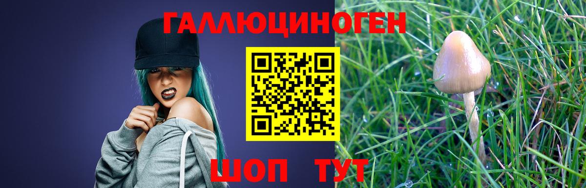Псилоцибиновые грибы ЛСД Тула
